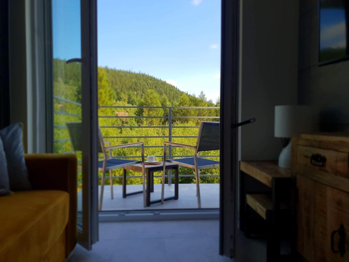 Apartament Zaczarowany Las - 5D Apartamenty Świeradów-Zdrój 外观 照片