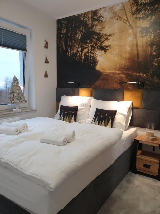 Apartament Zaczarowany Las - 5D Apartamenty Świeradów-Zdrój 外观 照片